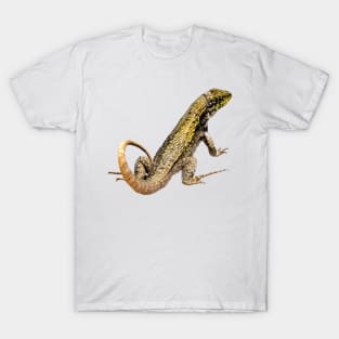 Leaping Lizard T-Shirt